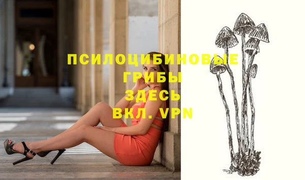 MESCALINE Алзамай