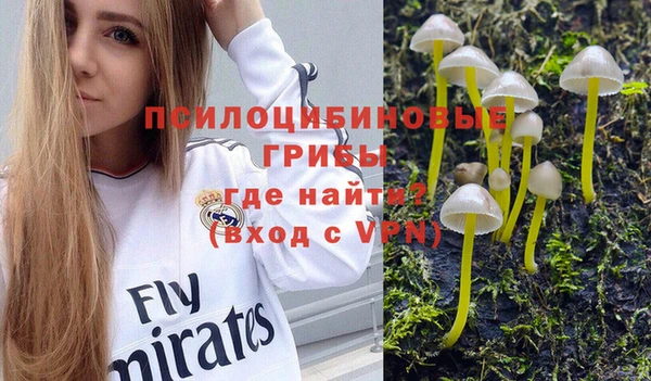ALPHA PVP Алексеевка