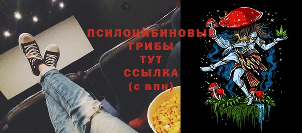 spice Алексин
