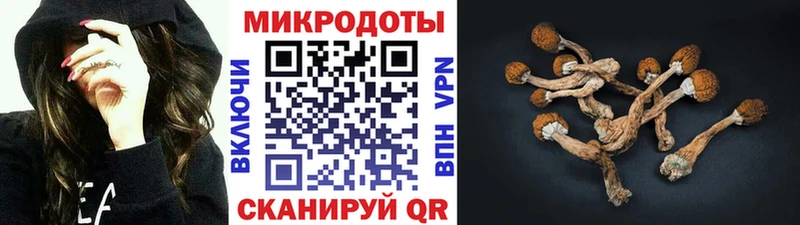 Галлюциногенные грибы Psilocybe Нижняя Салда